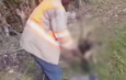 Ex trabajador de ingenio azucarero es acusado de matar con una pala a oso hormiguero